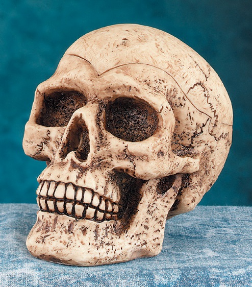 Skull Head Ashtray