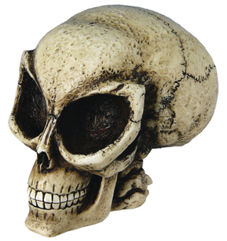Alien Skull