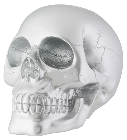 Silver Skull - Click Image to Close