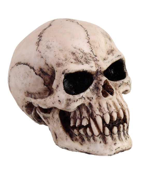 Vampire Skull - Click Image to Close