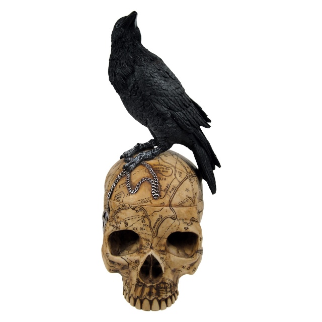Salem Witch Skull With Pentacle and Raven Crow Trinket Box - Click Image to Close