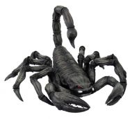 Scorpion Figurine Scorpion Figurine