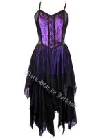 Dark Star Gothic Purple & Black Satin Velvet Dress