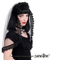 Sinister Gothic Black Rose Lace Wedding Veil w Velvet Tie