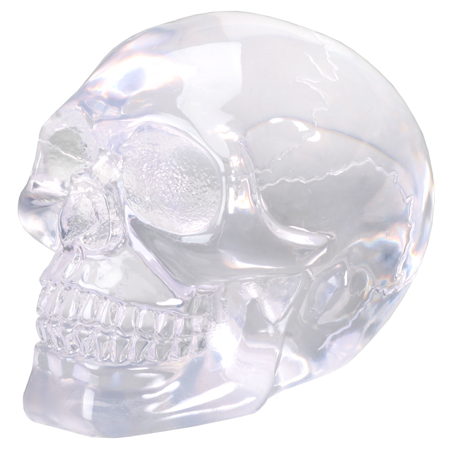 Spooky Clear Small Translucent Skull