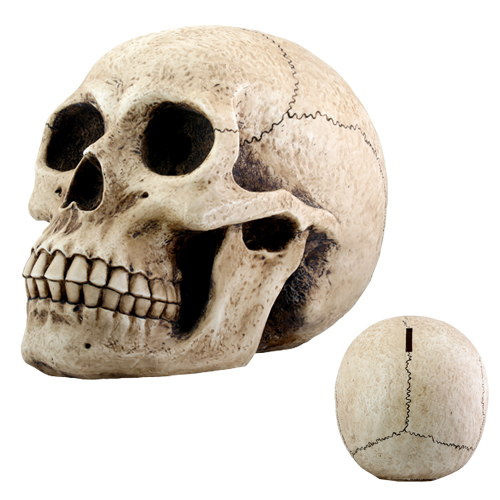 Large Skull Money Bank - Click Image to Close