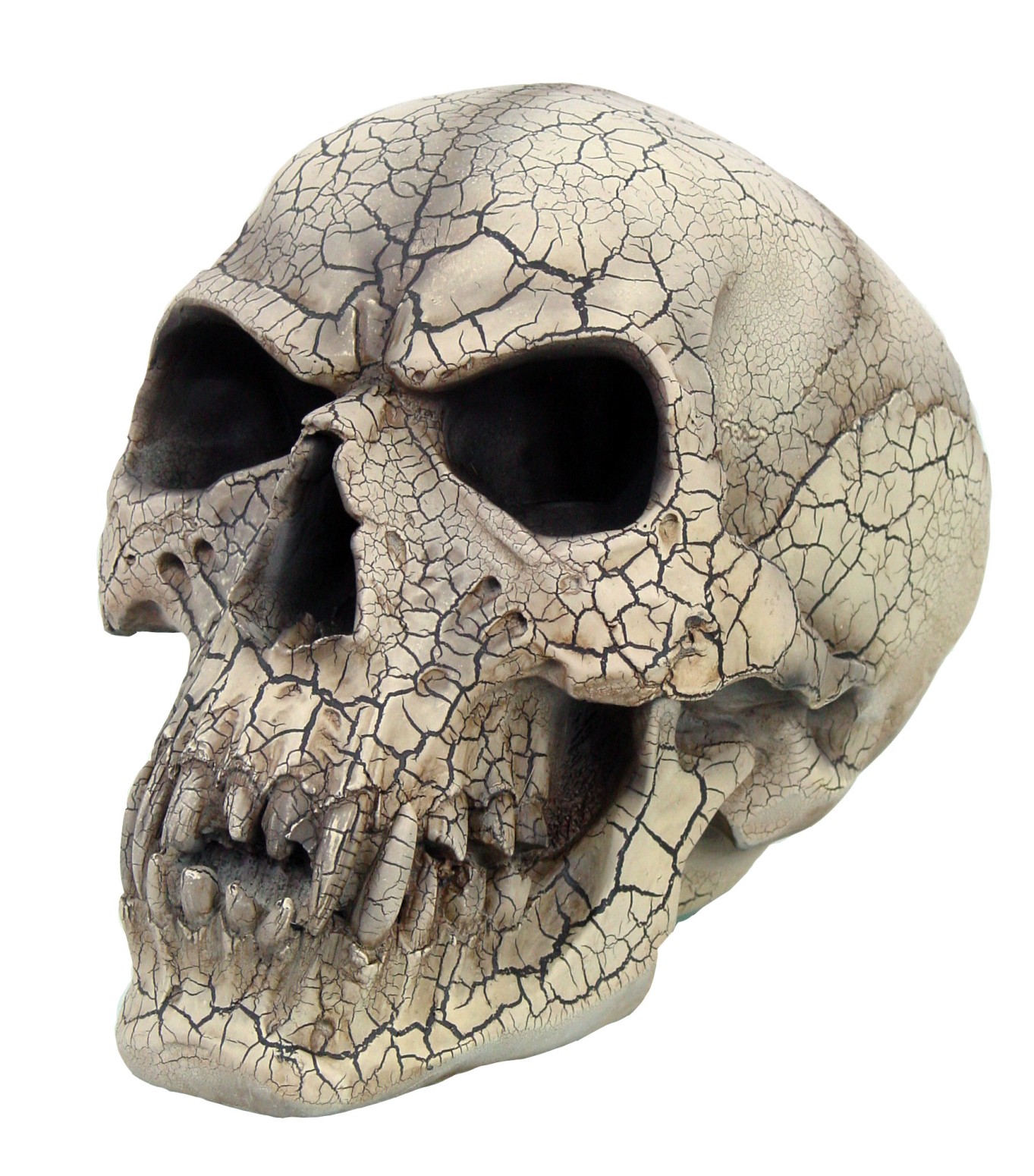 Vampire Skull wth Fractures - Click Image to Close