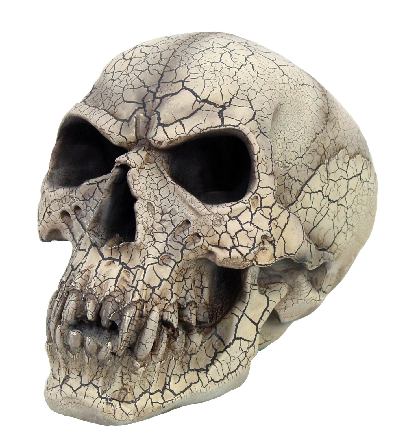 Vampire Skull wth Fractures