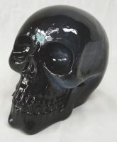 Spooky Black Translucent Skull