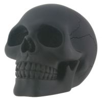 Small Black Skull Small Black Skull
