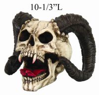 Ram Horned Skull