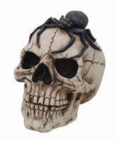 Skull Spider Skull Spider