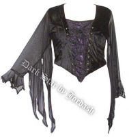 Dark Star Gothic Purple Black Velvet Lace Winged Sleeves Top