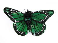 Hairy Scary Green & Black w Green Eyes Large Kahlovera Skull Butterfly Feather Hair Clip