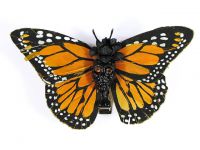 Hairy Scary Orange & Black w Orange Eyes Large Kahlovera Skull Butterfly Feather Hair Clip