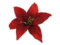 Hairy Scary Red Lily Traditional Flower Hair Clip
